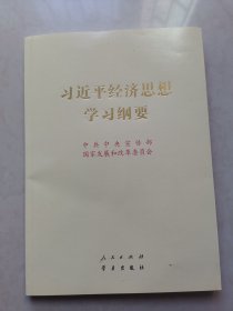 习近平经济思想学习纲要（16开）