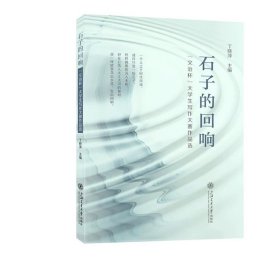 石子的回响，丁晓萍