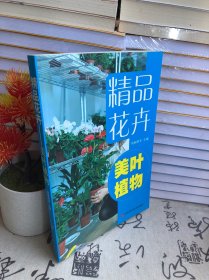 精品花卉——美葉植物