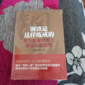 钢铁是这样炼成的，带塑封。