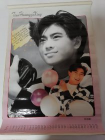 1995年天皇巨星.挂历（塑膜）