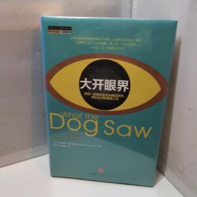 大开眼界：用另一双眼睛看透这疯狂世界、奇妙生活和美丽人生