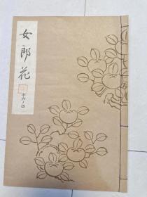 日本能乐本《女郎花》  一册全