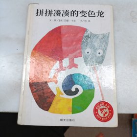 拼拼凑凑的变色龙