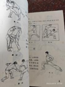 鹰爪拳 翟金生 河南科学技术出版社 1986年 94页 85品3