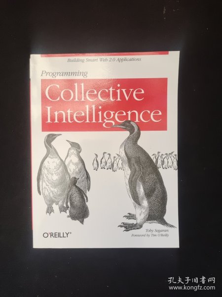 Programming Collective Intelligence：Building Smart Web 2.0 Applications