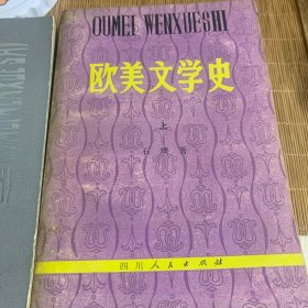 欧美文学史和中国文学