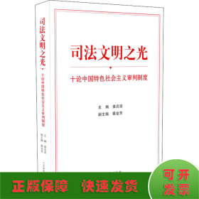 司法文明之光（十论中国特色社会主义审判制度）