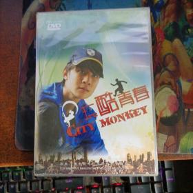 玩酷青春  DVD  未开封