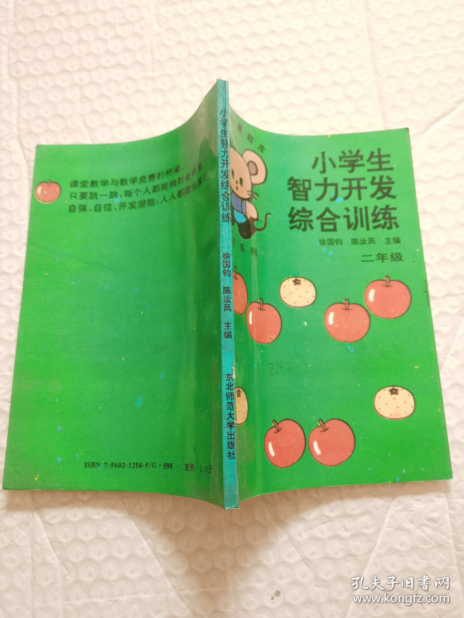 小学生智力开发综合训练