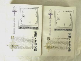 安娜卡列尼娜 （外国古典文学名著选粹）