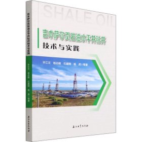 吉木萨尔页岩油水平井钻井技术与实践