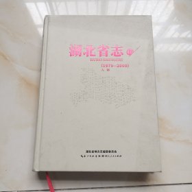 湖北省志（1979—2000)人物 精装