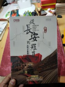 从长安到罗马 大型100集微纪录片（5DVD）