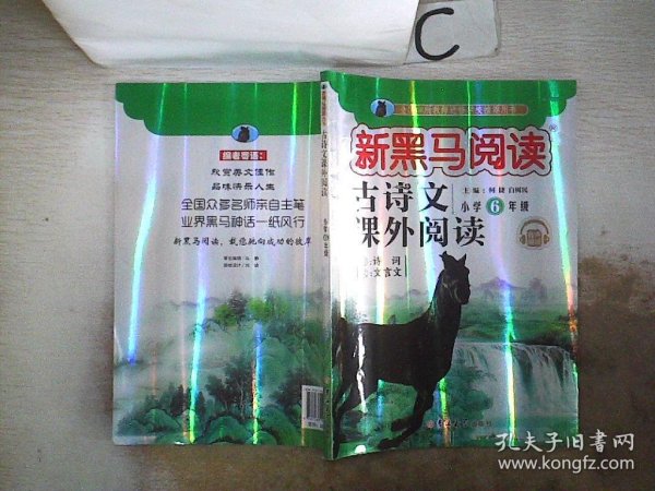 新黑马阅读丛书  古诗文课外阅读. 小学六年级