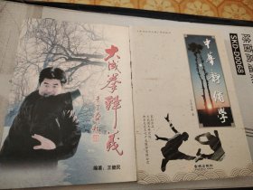 L16：中华武术文库系列丛书：中华静修学，大成拳释義，二书合售如图所示！