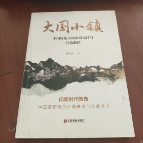 大国小镇：中国特色小镇顶层设计与行动路径