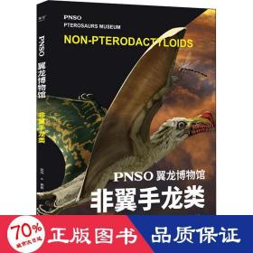 PNSO翼龙博物馆.非翼手龙类（科学艺术家赵闯大成之作，再现翼龙称霸天空的史前时代，实现纸上观展体验，让孩子把翼龙博物馆搬回家）