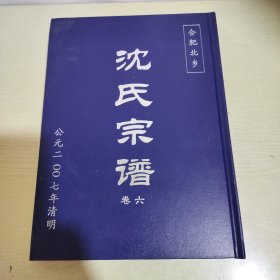 合肥北乡沈氏宗谱(卷六) 公元2007年清明