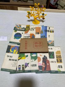 吉祥如意 美 家庭（盒装16小本）缺12