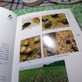 中国北方农业害虫原色图鉴