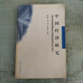 中國(guó)經(jīng)濟(jì)研究：北京大學(xué)中國(guó)經(jīng)濟(jì)研究中心內(nèi)部討論稿選編
