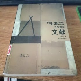 中国上海2000年双年展及外围展文献