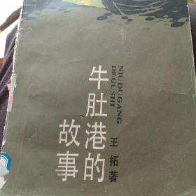 80年代小说，牛肚港的故事