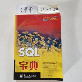 宝典丛书：SQL宝典