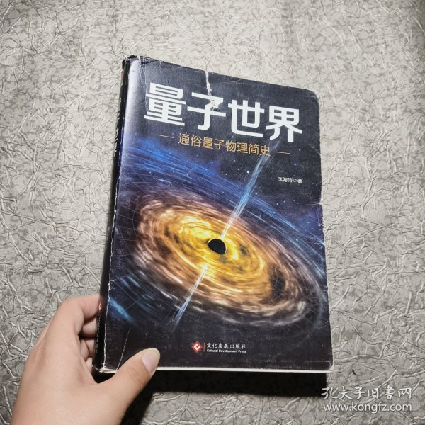 量子世界：通俗量子物理简史