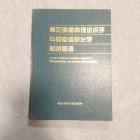 常见肿瘤病理组织学与免疫组织化学彩色图谱