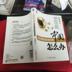 中国怎么办：当次货危机改变世界