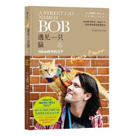 遇见一只猫:与Bob相伴的日子