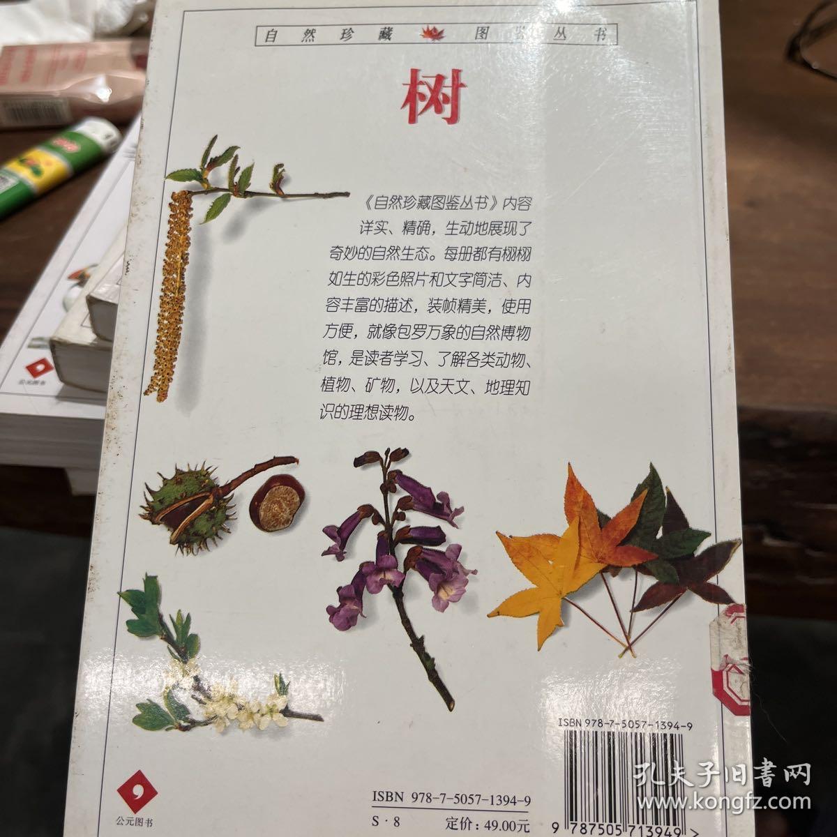 树：全世界500多种树木的彩色图鉴