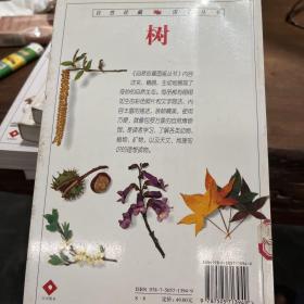 树：全世界500多种树木的彩色图鉴