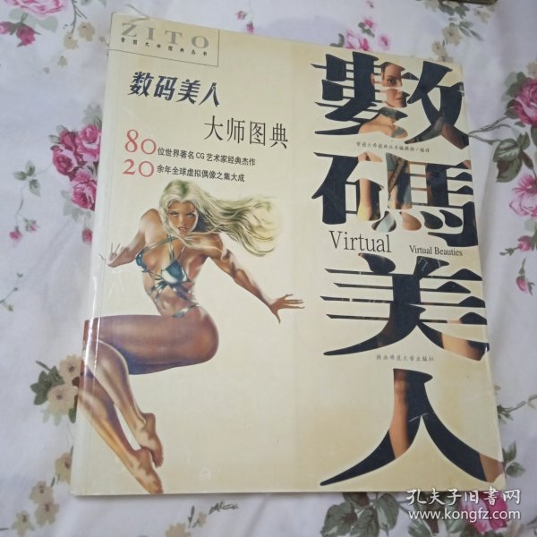 数码美人大师图典