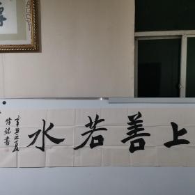 杨伟斌，清华大学美术学院书画理论与创作高级研修班结业。现为中国书法家协会会员；秦皇岛市书法家协会副主席；秦皇岛市政协委员；秦皇岛广播电视大学客座教授；秦皇岛战友书画院副院长；近文书画院院长 。