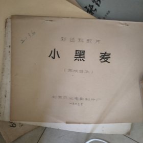 小黑麦电影台本