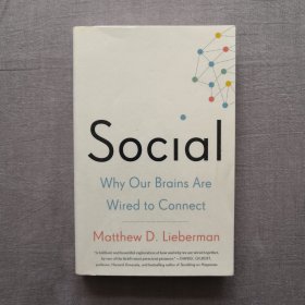 Social: Why Our Brains Are Wired to Connect 社交天性 : 人类社交的三大驱动力 马修·利伯曼 英文原版