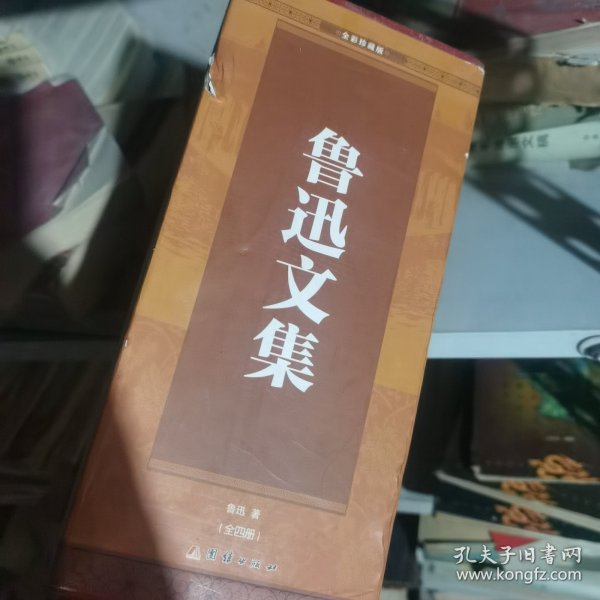 彩色详解 鲁迅文集（套装4册）