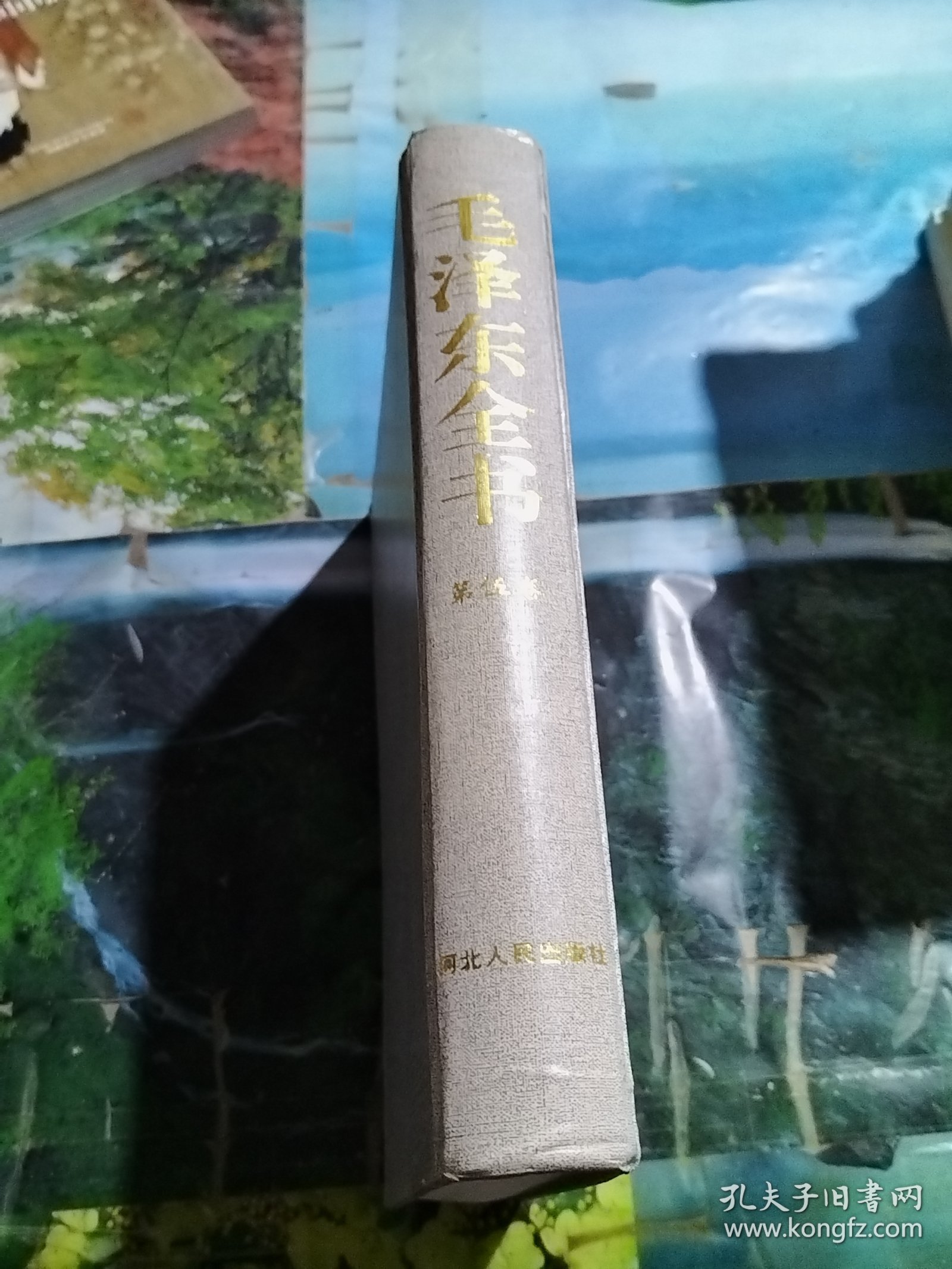 毛泽东全书 第伍卷