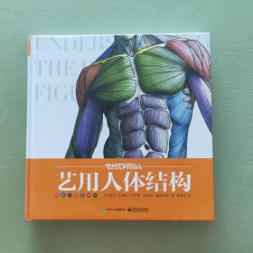 艺用人体结构