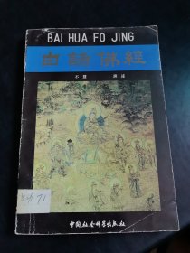 白话佛经 含金刚经 六祖坛经 入不思议 本愿经