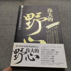 伟大的野心：新兴商业英雄们的创业风云