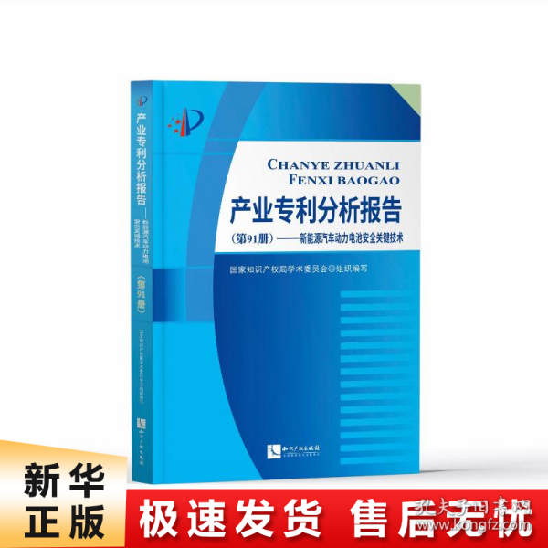 产业专利分析报告（第91册）——新能源汽车动力电池安全关键技术