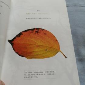 怎样观察一棵树：探寻常见树木的非凡秘密（品相良好）