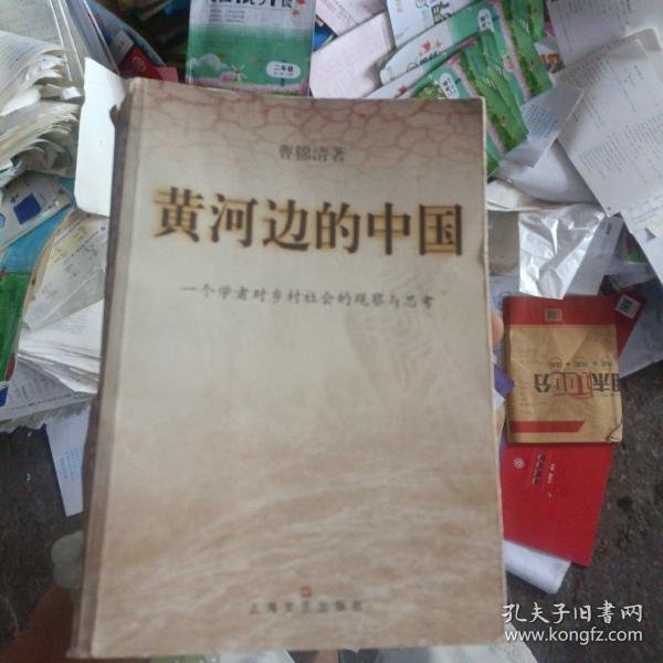 黄河边的中国:一个学者对乡村社会的观察与思考