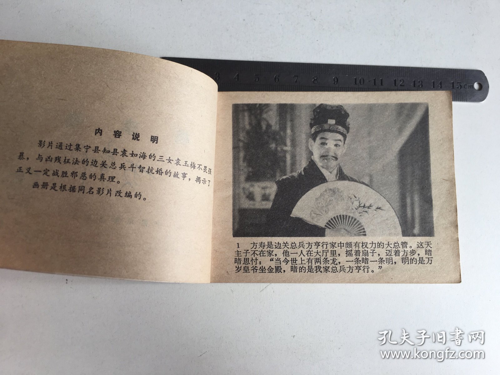电影连环画：桃李梅