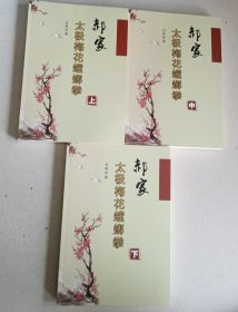 郝家太极梅花螳螂拳 （上中下）三册