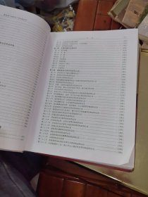 新形势下检察官工作必备全书. 下卷